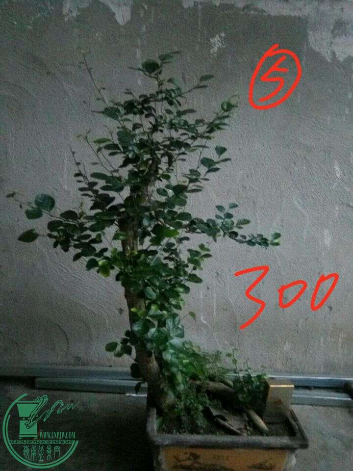 1bab06bb3ba09ef3.jpg