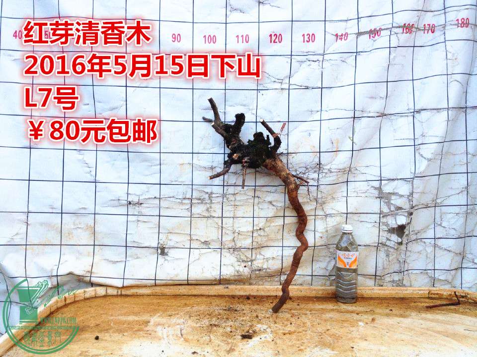 QQͼƬ20160515205308_.jpg
