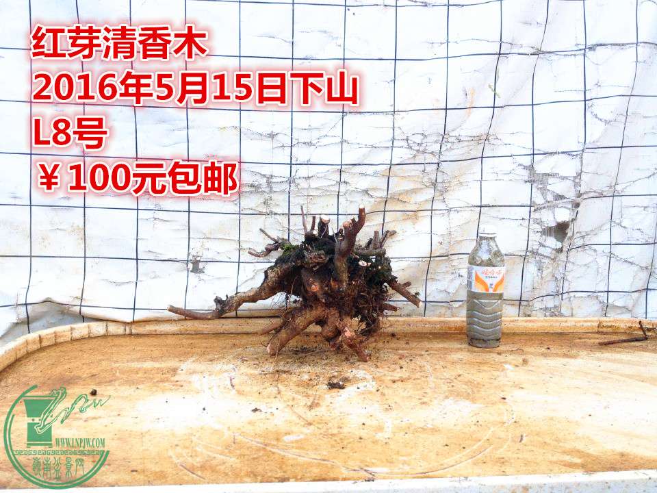 QQͼƬ20160515205325_.jpg