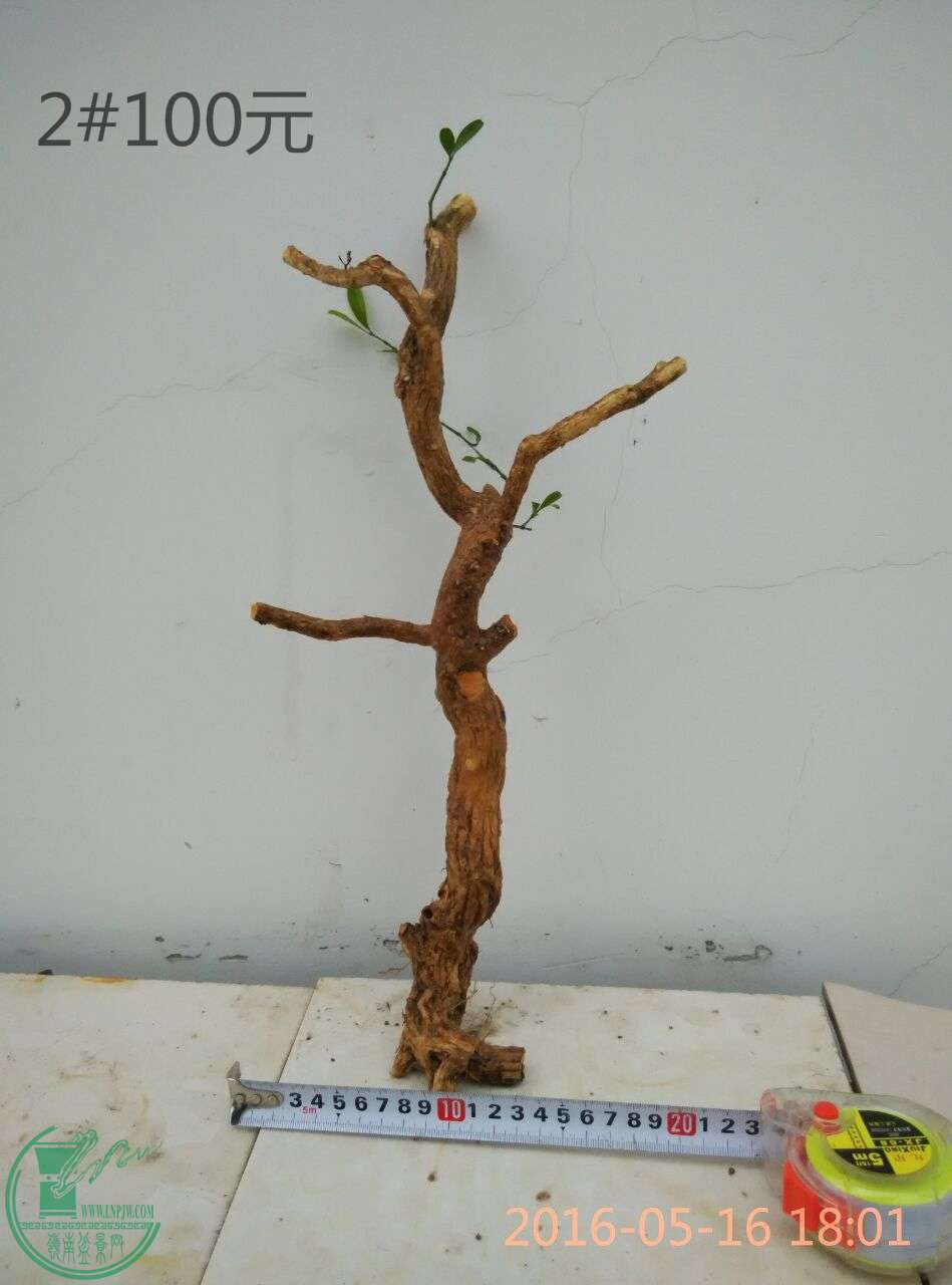 QQͼƬ20160516182622_ͼ.jpg