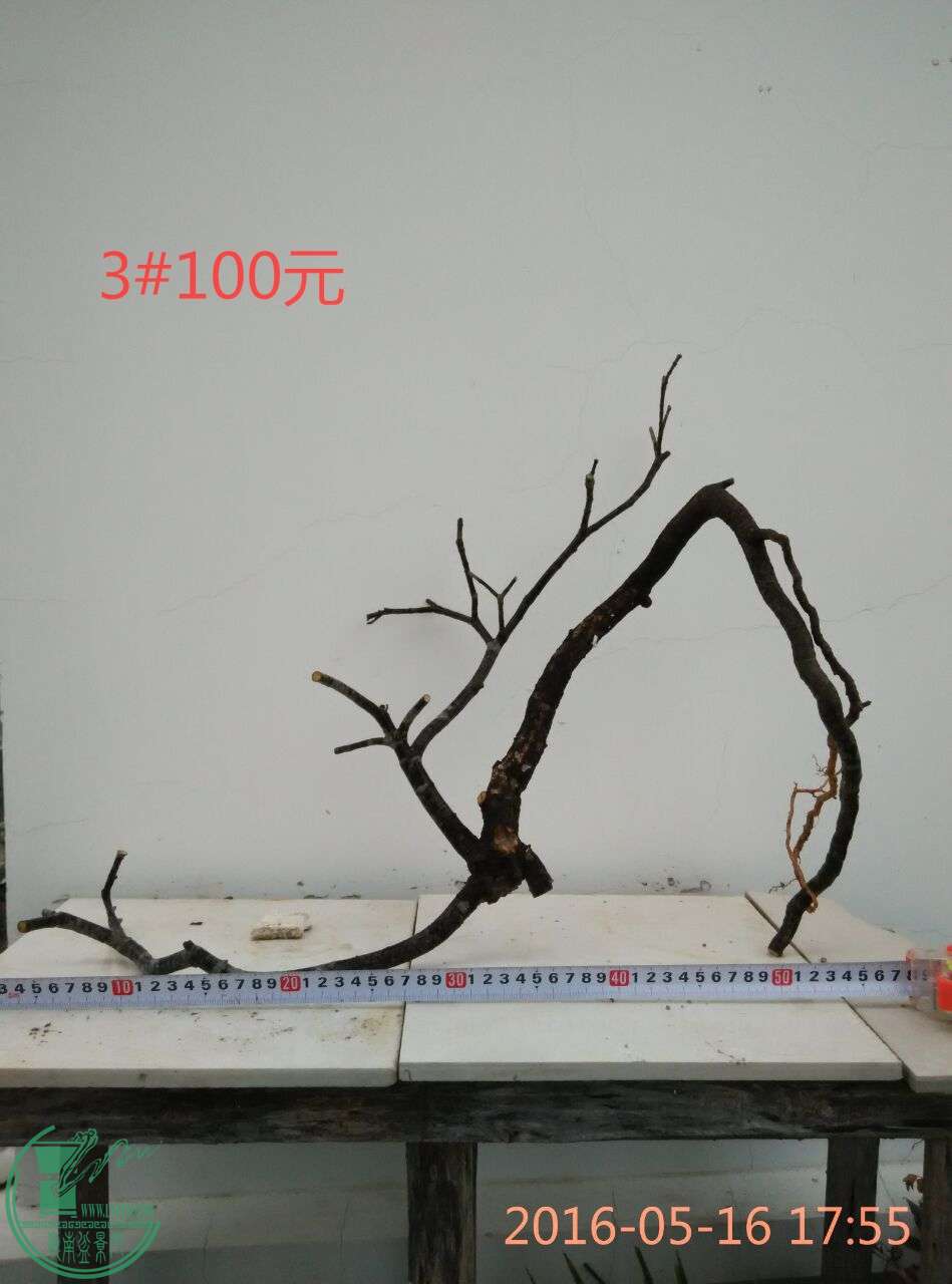 QQͼƬ20160516182552_ͼ.jpg