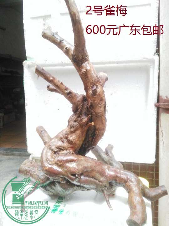 QQͼƬ20160516190138.jpg