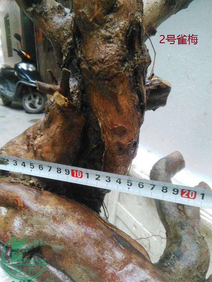QQͼƬ20160516190153.jpg