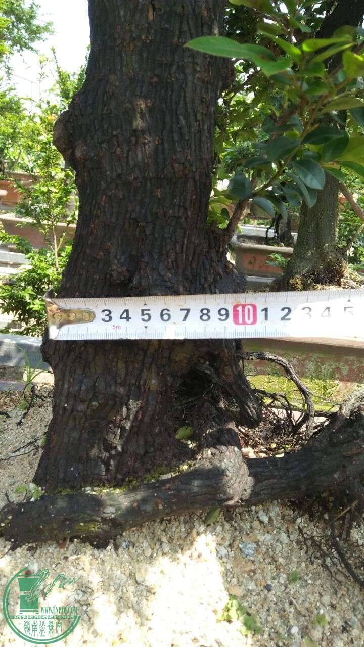 QQͼƬ20160516195831.jpg
