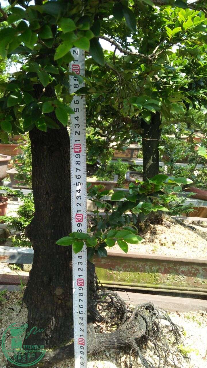 QQͼƬ20160516195846.jpg