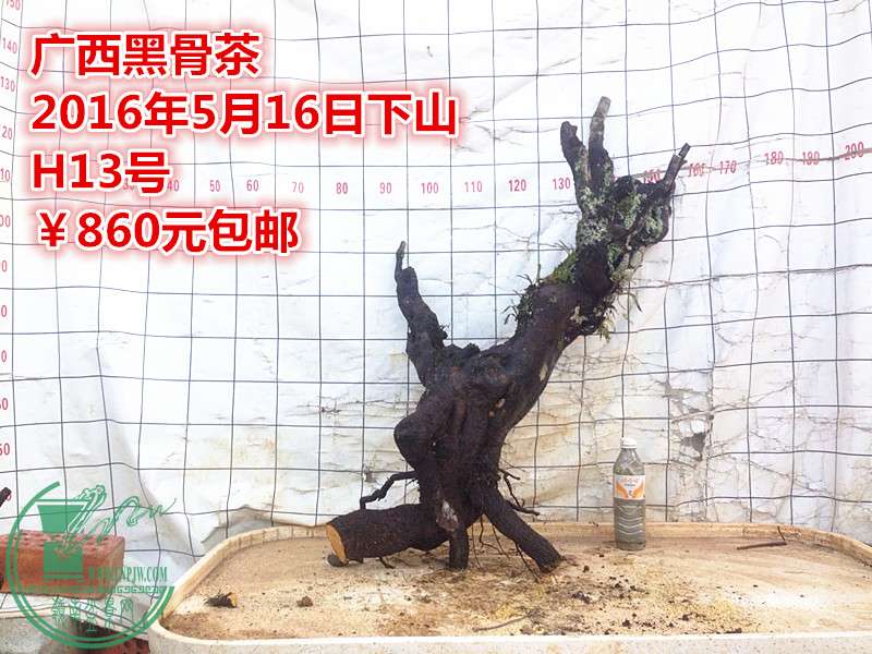 QQͼƬ20160516205051_.jpg