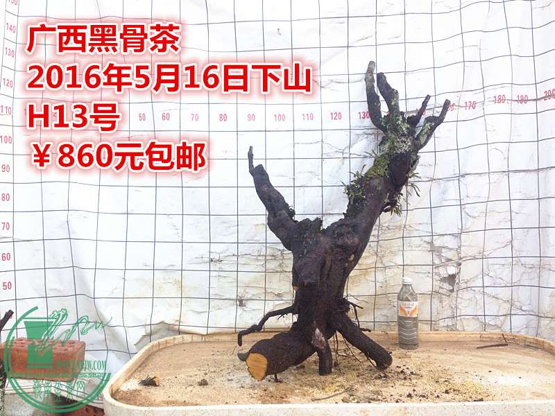 QQͼƬ20160516205056_.jpg