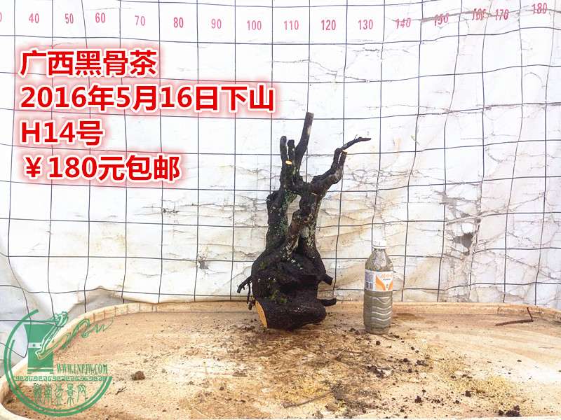 QQͼƬ20160516205123_.jpg