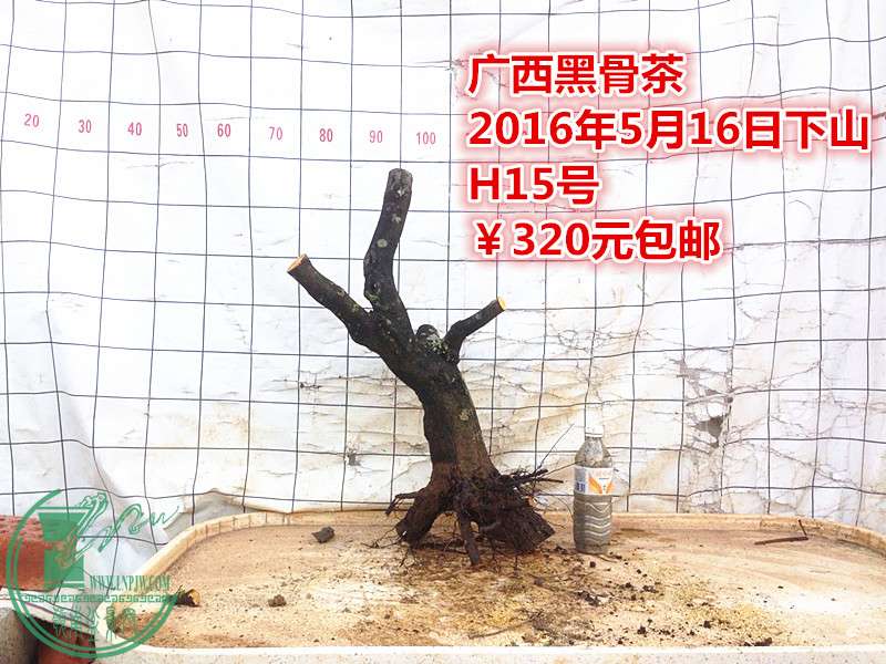 QQͼƬ20160516205135_.jpg