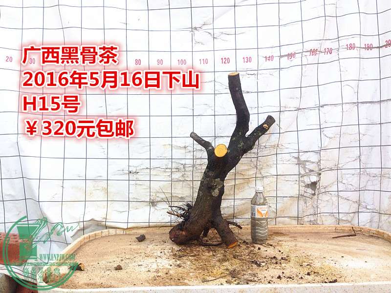 QQͼƬ20160516205141_.jpg