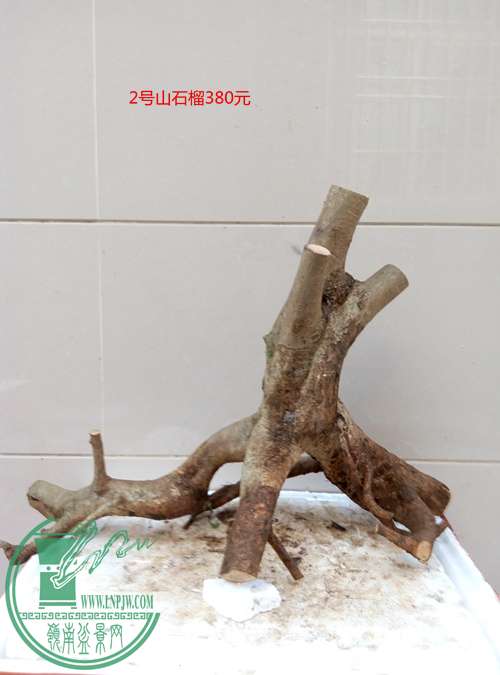 P60516-174420_.jpg