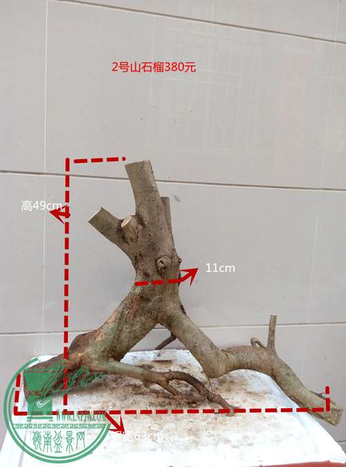 P60516-174155_ - .jpg