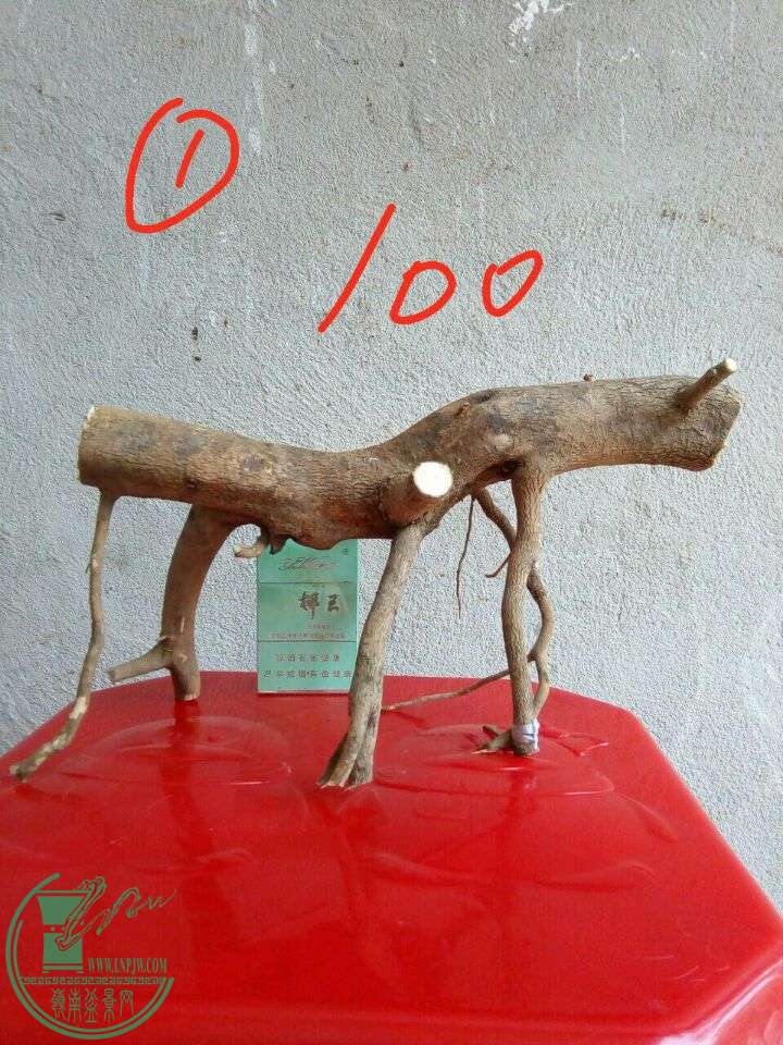 3146987bc21afab4.jpg