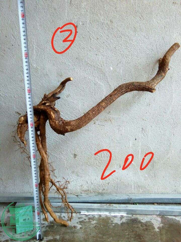 5fdb7340f88d9fd0.jpg