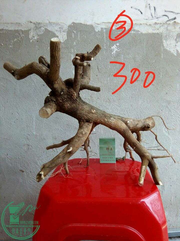 63c66abed8172139.jpg