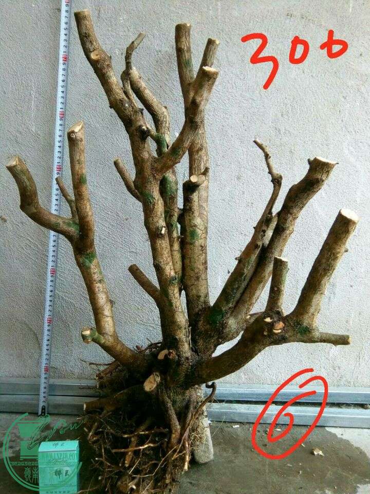 2a8fa9e17aa84ca0.jpg