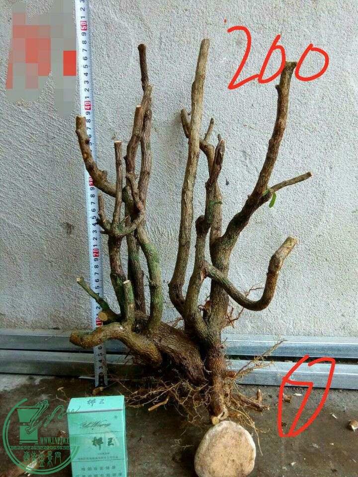 -55e7b6b536697f6.jpg