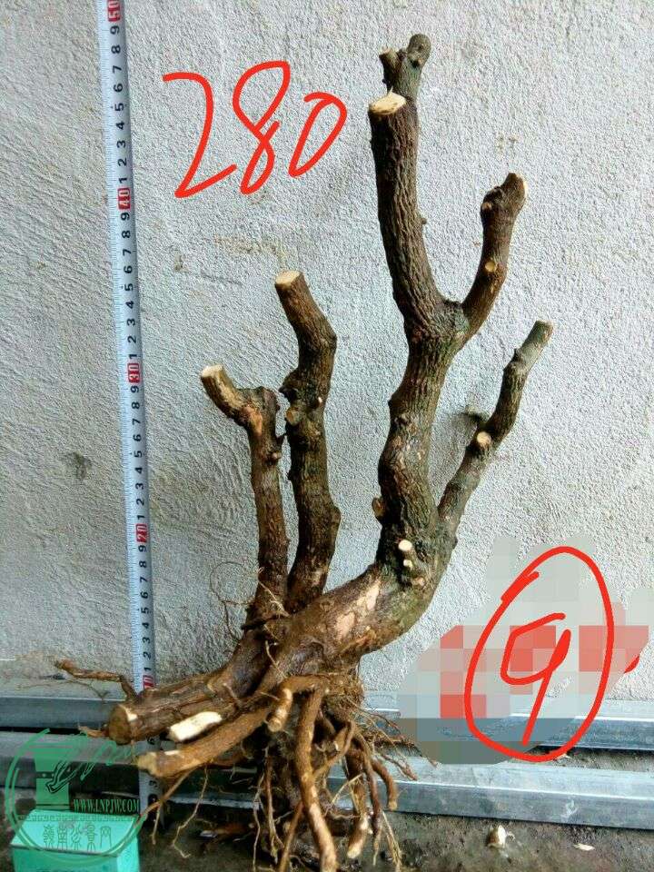 -2f3d2fb3d561a8cd.jpg