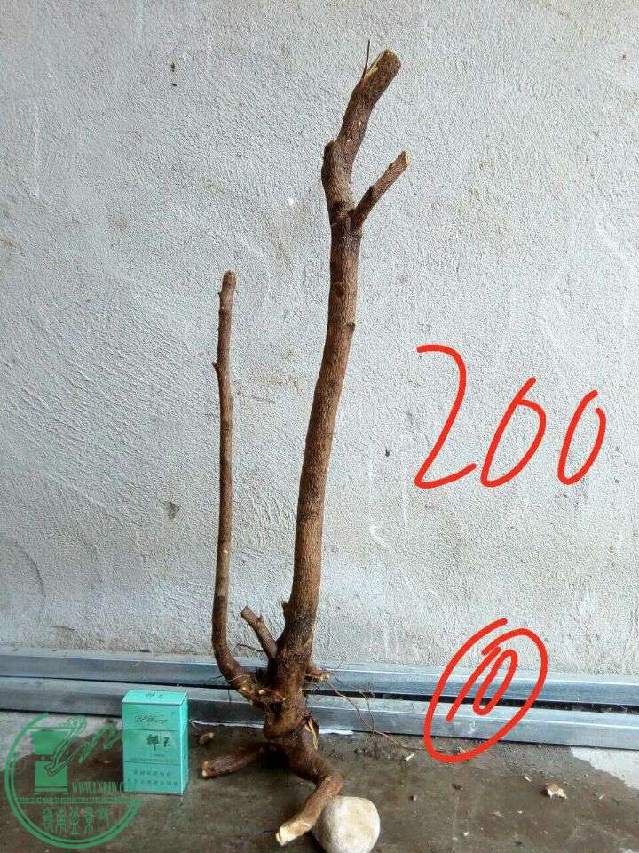 5d8e9adfe17dfe92.jpg