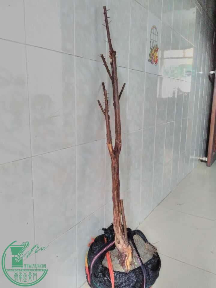 QQͼƬ20160517195321.jpg