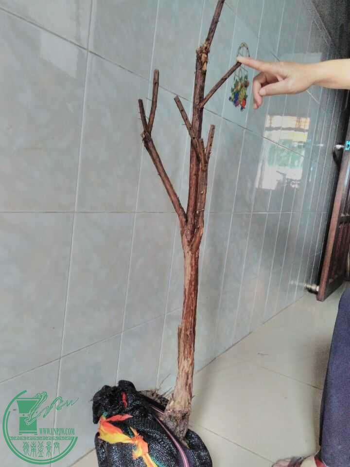 QQͼƬ20160517195257.jpg