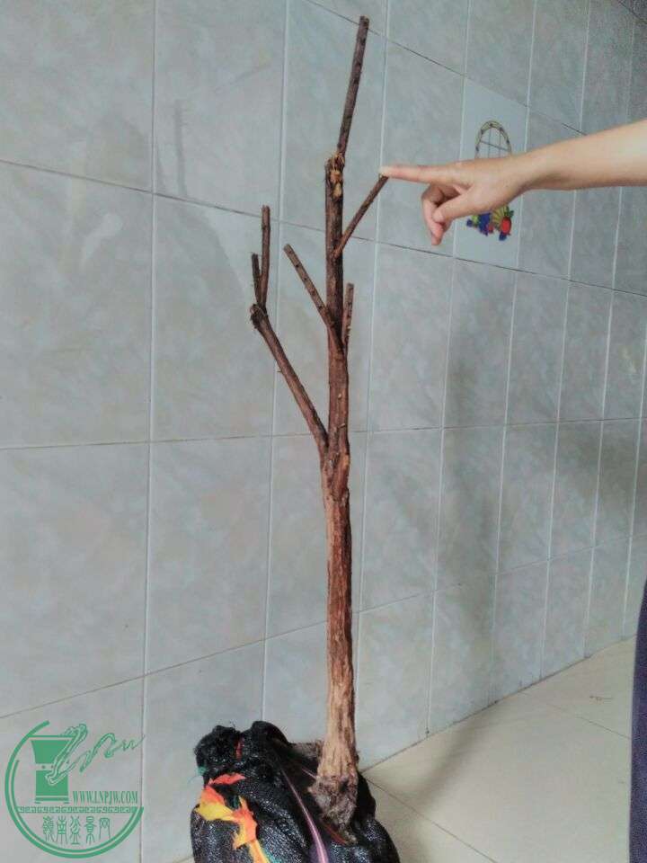 QQͼƬ20160517195251.jpg