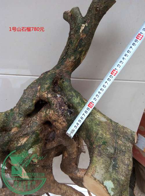 P60518-163845_.jpg