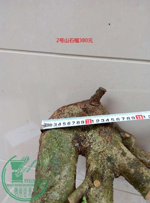 P60518-164655_.jpg