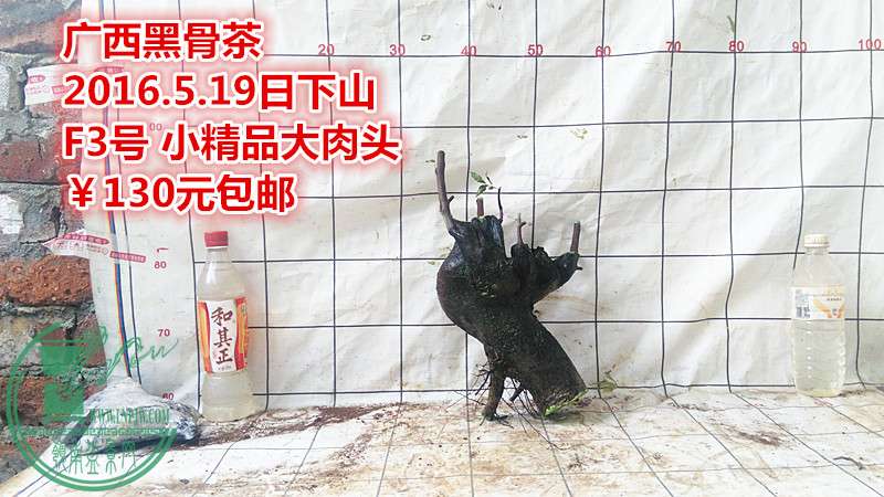 IMG_20160519_163744_.jpg
