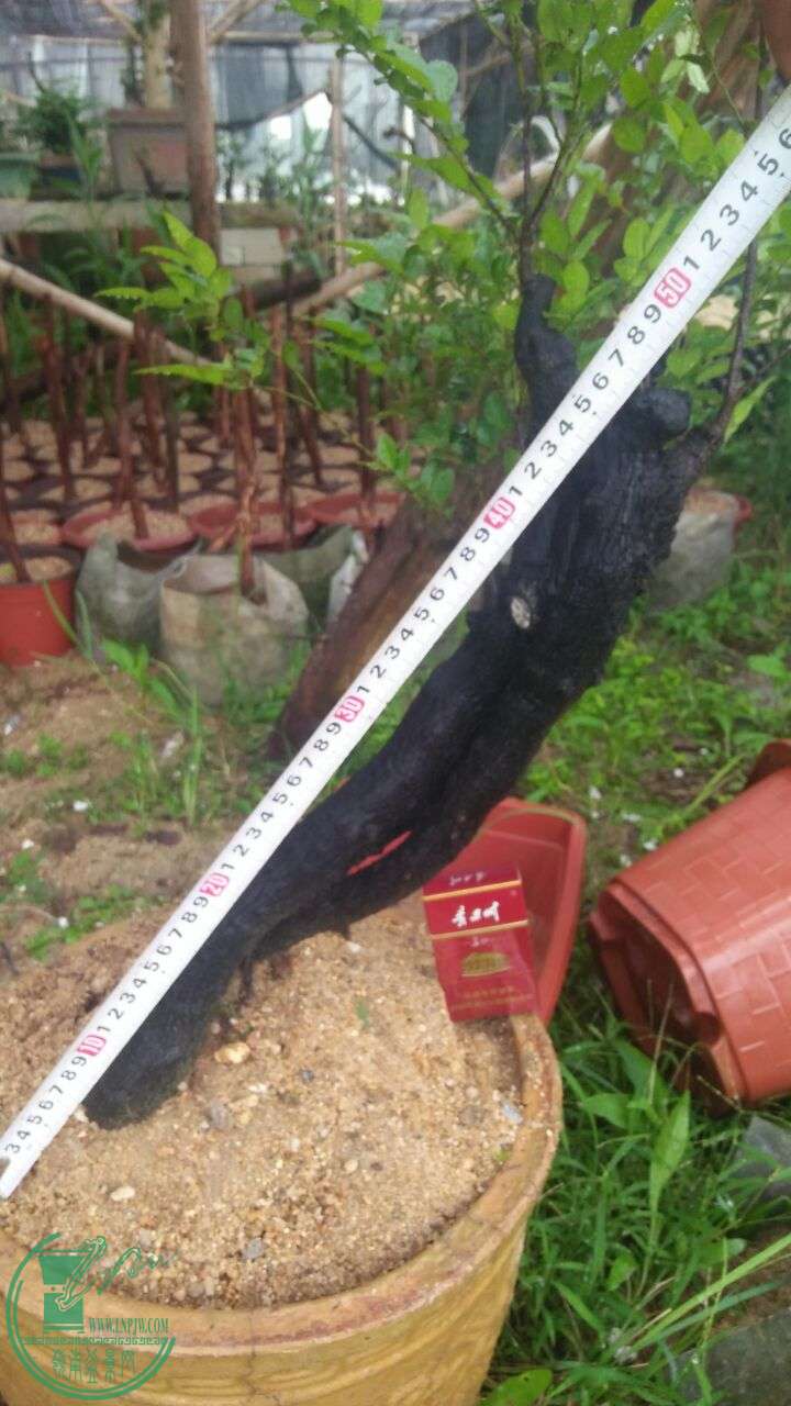 QQͼƬ20160519205715.jpg