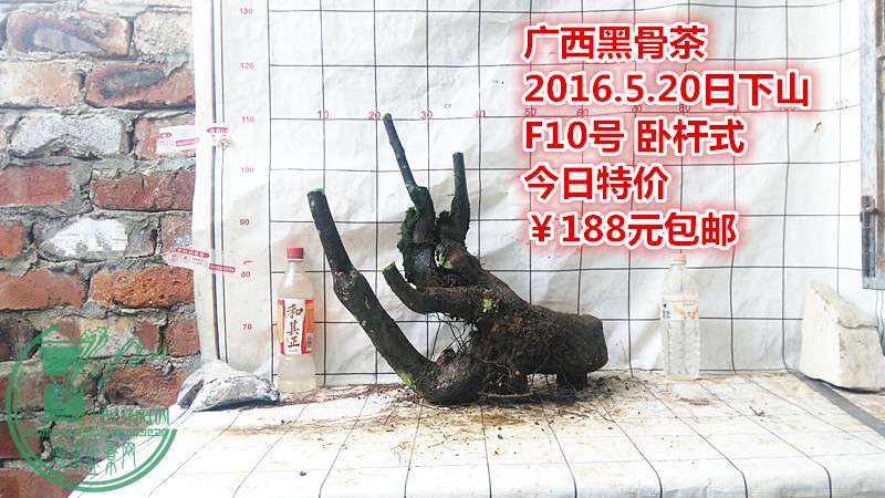 IMG_20160520_182019_.jpg