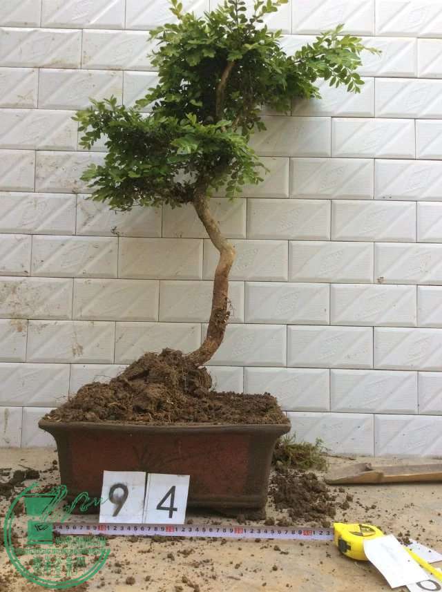 94a.jpg