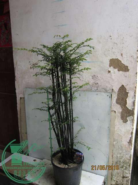 IMG_0002.JPG