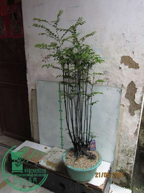 IMG_0014.JPG