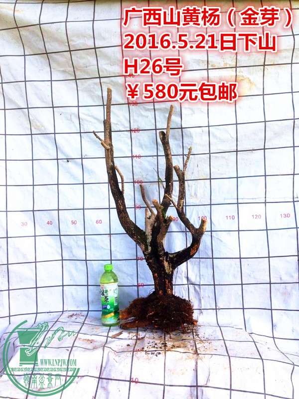 QQͼƬ20160521211305_.jpg
