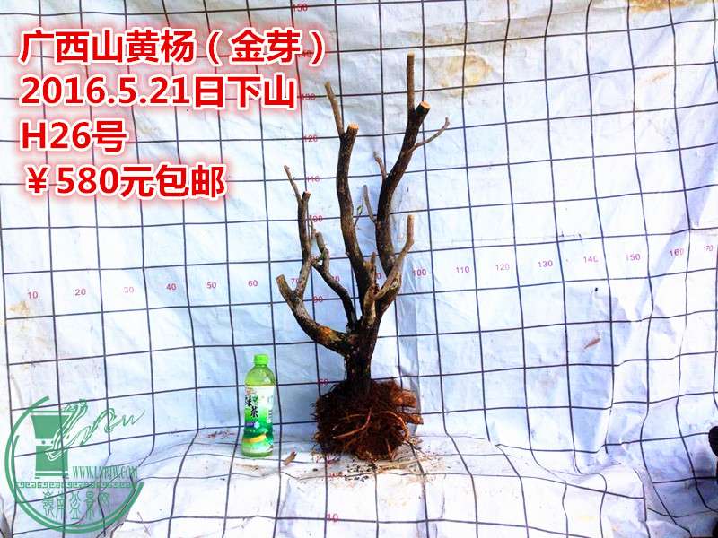 QQͼƬ20160521211316_.jpg