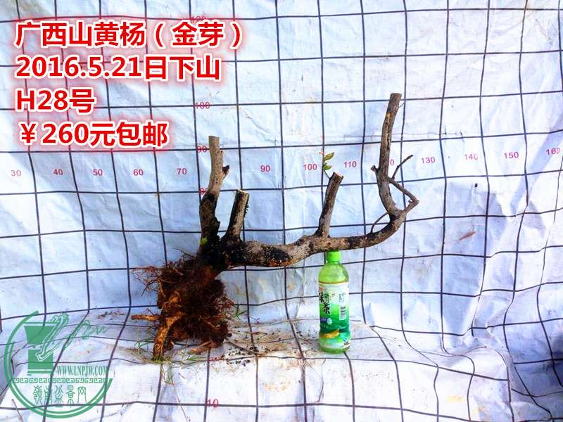 QQͼƬ20160521211354_.jpg