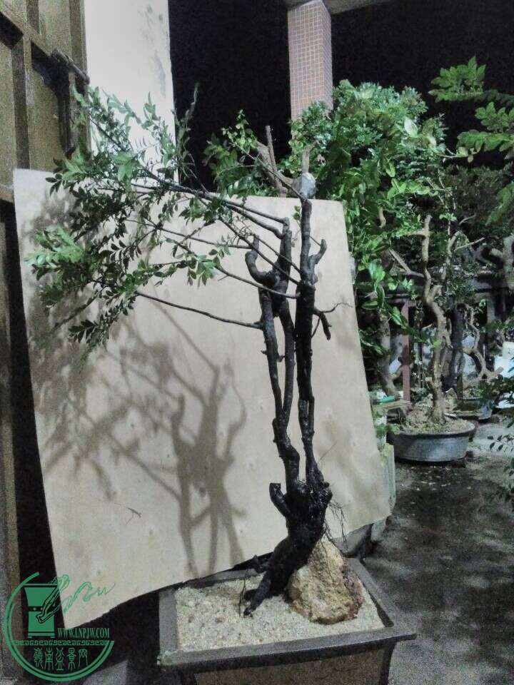 QQͼƬ20160522205514.jpg