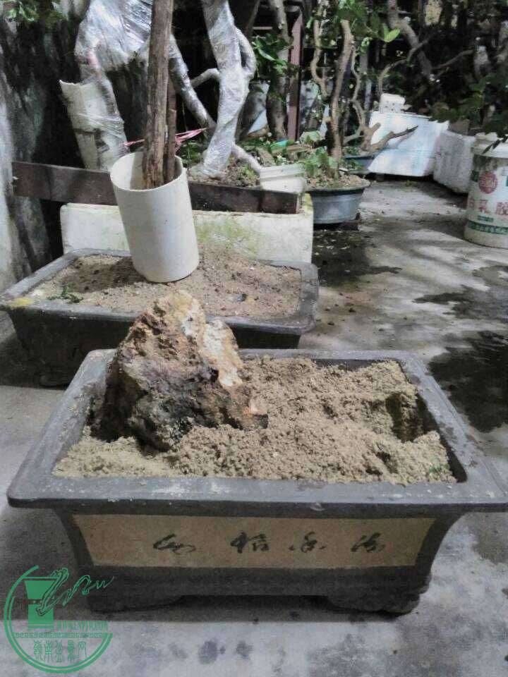 QQͼƬ20160522205527.jpg