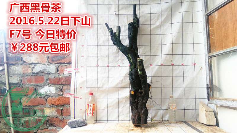 IMG_20160522_181836_.jpg