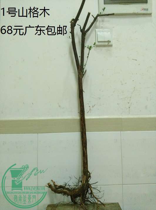 QQͼƬ20160522213401.jpg