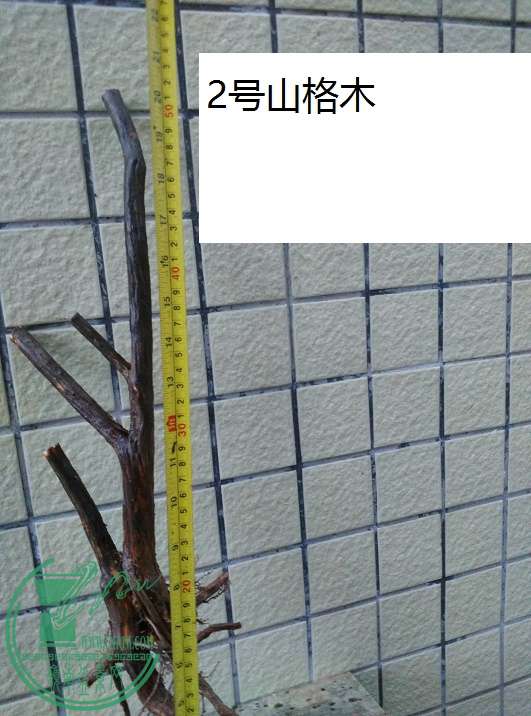 QQͼƬ20160522213412.jpg