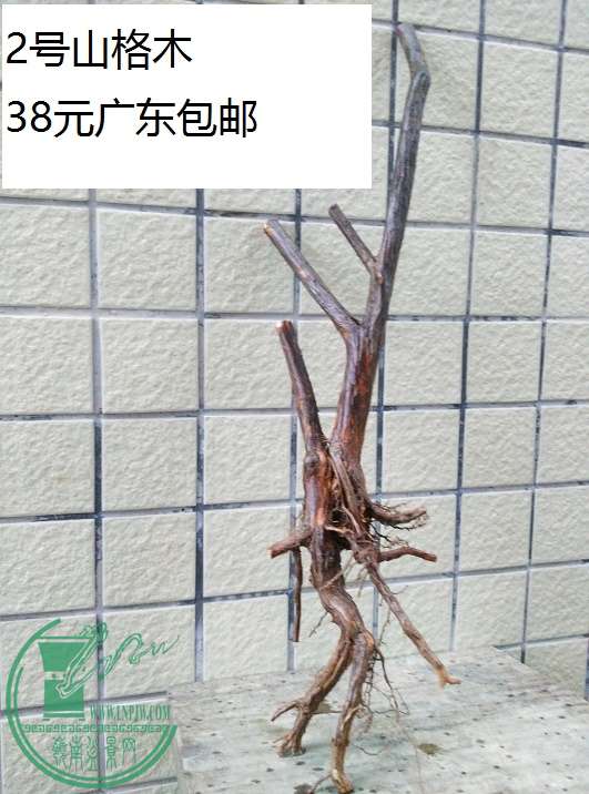 QQͼƬ20160522213426.jpg
