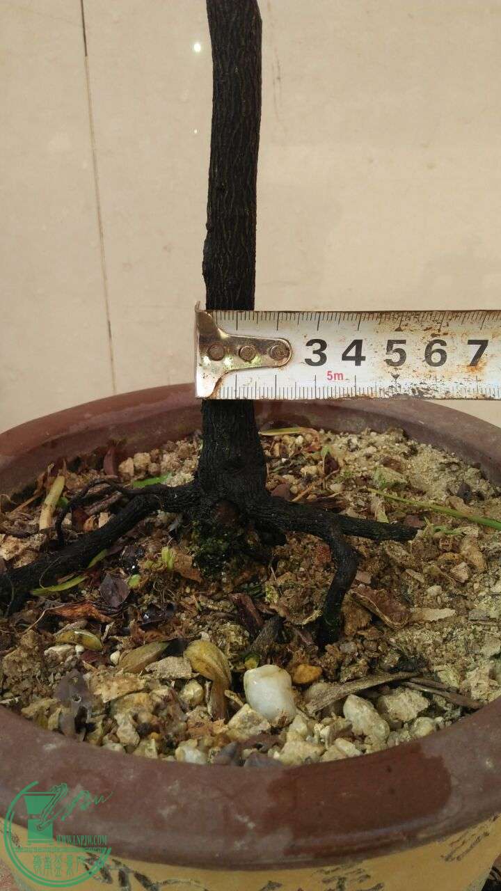 QQͼƬ20160524195932.jpg