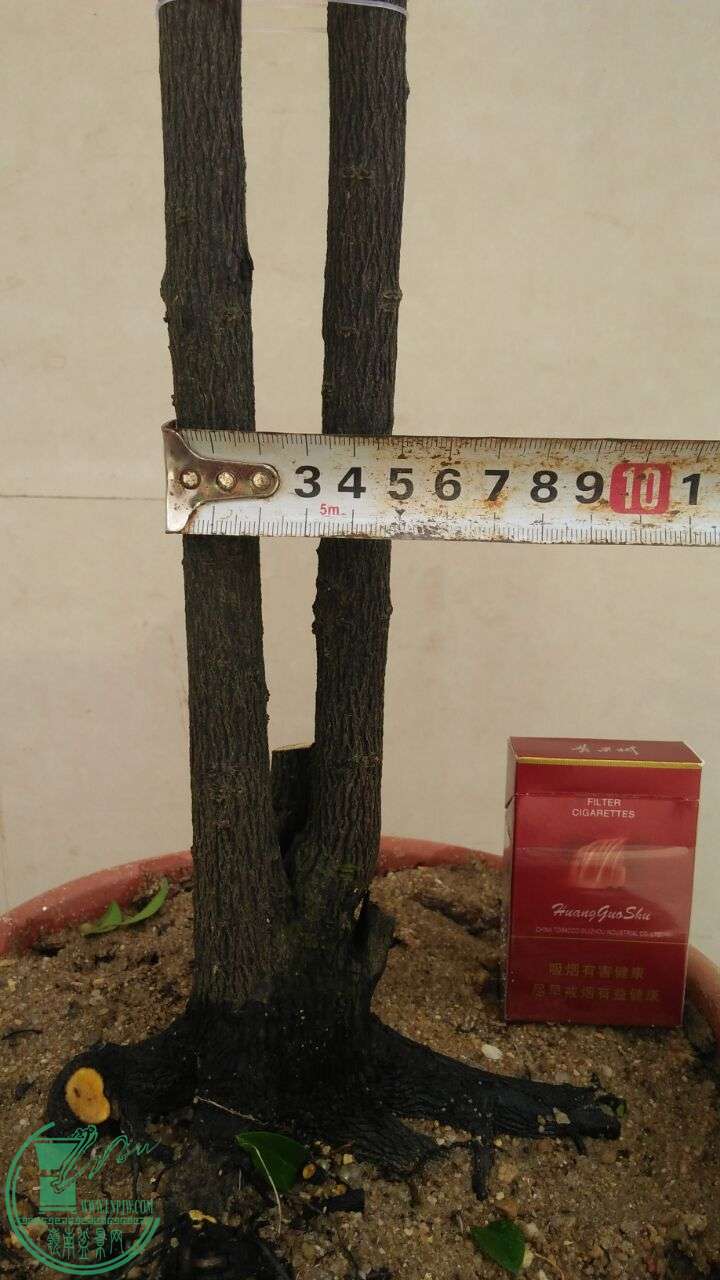 QQͼƬ20160524200002.jpg