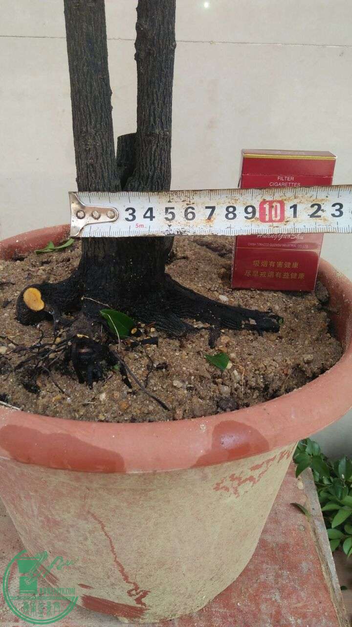 QQͼƬ20160524200021.jpg