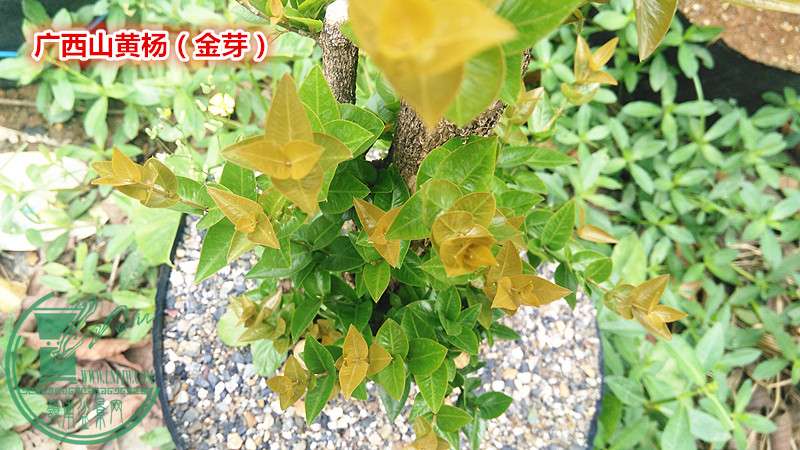IMG_20160519_113914_.jpg