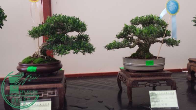 20150754.jpg