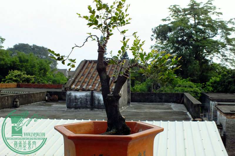 DSCF2872.JPG