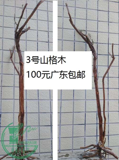 QQͼƬ20160526161058.jpg